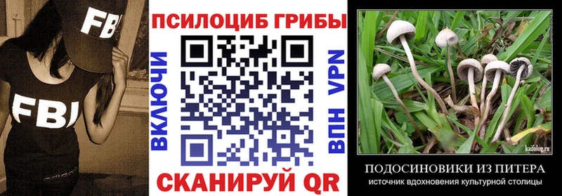 Галлюциногенные грибы ЛСД  Купить закладки  Вихоревка 